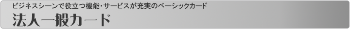 ビジネスシーンに役立つ機能・サービスが充実のベーシックカード　法人カード(一般カード)